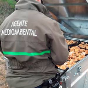 Si no respetas, no hay setas. Agentes Medioambientales. Junta de Castilla y León