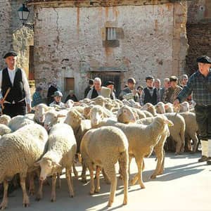 HOMENAJE A NUESTROS MAYORES. CRISTINA SEGURA. ASOCIACIÓN EL SALTERIO