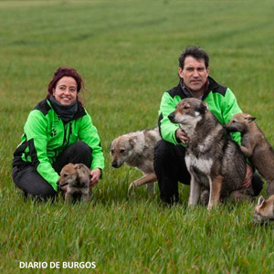 VIVIENDO CON LOBOS. ALICIA DE LA IGLESIA Y LUIS RAMOS