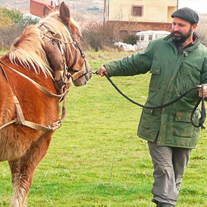 Agricultura sostenible, mimando la tierra. Roman Traver – El Puchero de Villasur