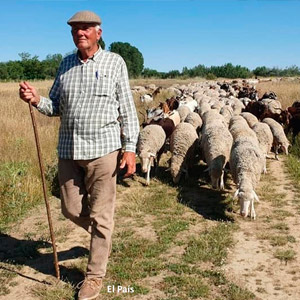 JORNADAS DE CAMPO INAGOTABLES.SUSO GARZÓN. APRENDIZ CON FÉLIX