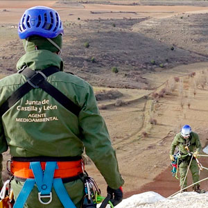 No sólo las aves suben alto. Agentes Medioambientales. Junta de Castilla y León