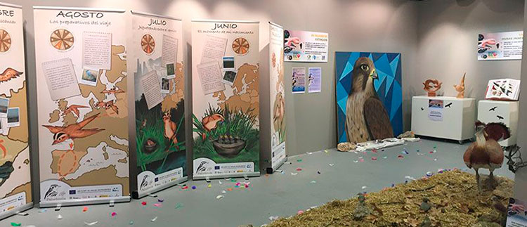 Exposición Ecofrikis Exposición Ecofrikis